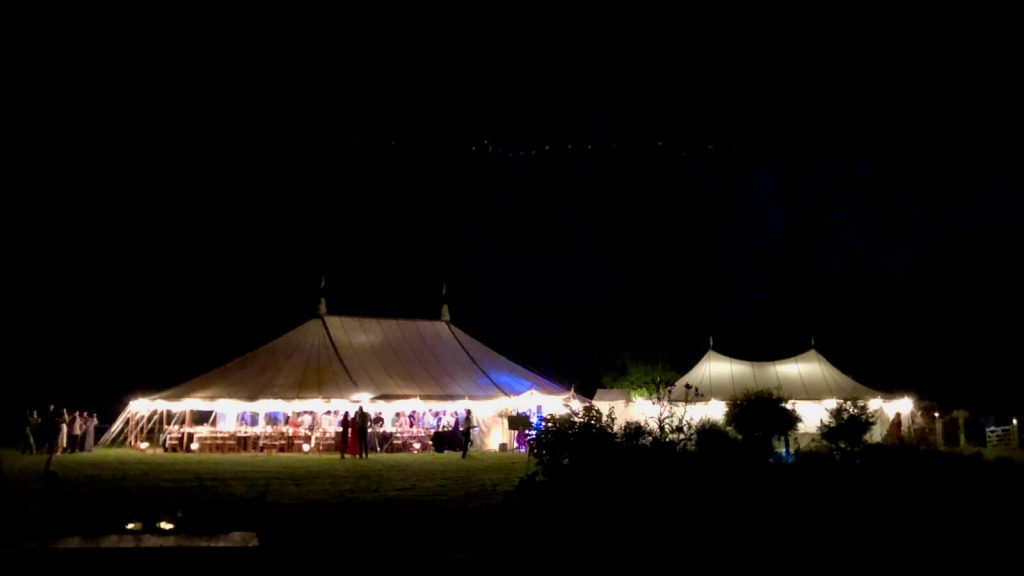 Marquee wedding party