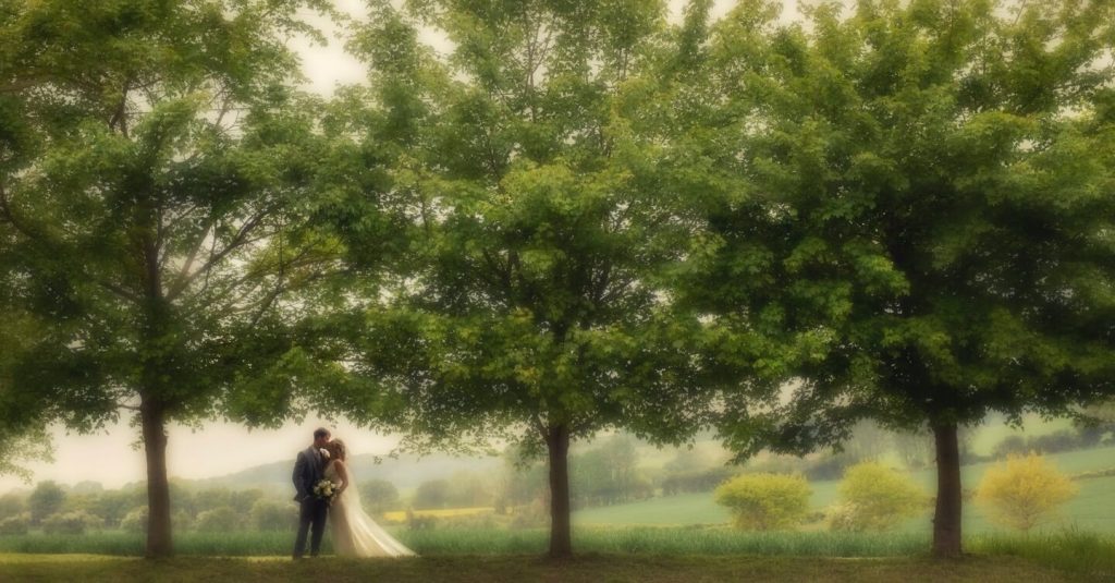 Bride and groom with trees